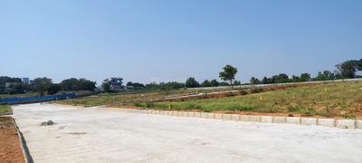 Residential Plot