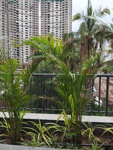 Image of 600 Sq.ft 1 BHK Apartment / Flat for sale in Paranjape Blueridge The Groves, Hinjawadi, Pune for Rs. 6700000
