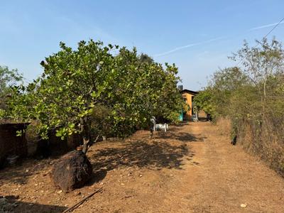 Image of 8000 Sq.ft 4 BHK Farm House for sale in Arambol, Goa for Rs. 27000000