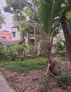 Image of 3600 Sq.ft 5 BHK Independent House for sale in Maheshtala, Kolkata for Rs. 8000000