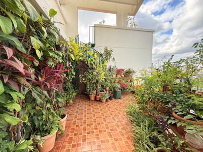 Balcony Image of 3255 Sq.ft 4 BHK Penthouse for sale in Aundh Pune for Rs. 59500000