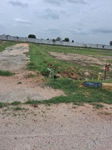 Narayankhed Plot View 2