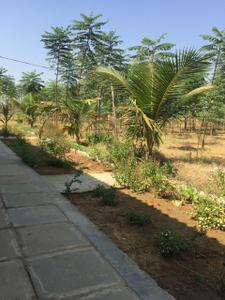 Residential Plot