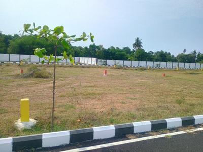 Residential Plot