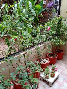 Balcony Image of 1850 Sq.ft 4 BHK Independent House for sale in Saiyed Vasna Vadodara for Rs. 7000000