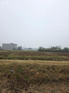 Image of 1361 Sq.ft Residential Plot / Land for sale in Shivala Par, Patna for Rs. 6500000