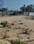 Bellikere Plot View 2