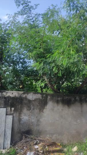 Pravasi Nagar Main Image 1