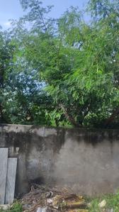 Pravasi Nagar Plot View 1
