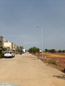 ACACIA Plot View 2