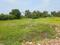 Diamond Park Main Image 1