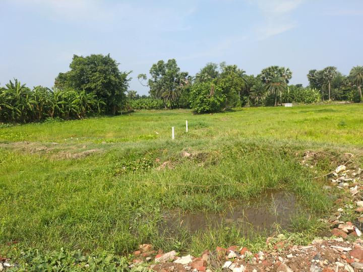 Diamond Park Main Image 1