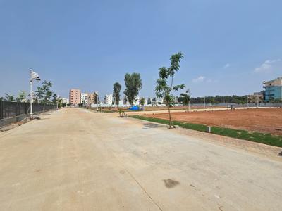 Residential Plot