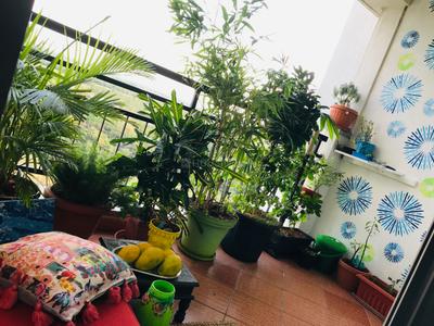 Balcony Image of 1336 Sq.ft 2 BHK Apartment / Flat for sale in Sobha Meritta, Kelambakkam Chennai for Rs. 10500000