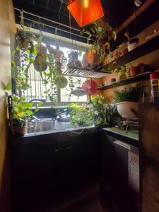 Kitchen Image of 1050 Sq.ft 2 BHK Apartment / Flat for sale in Jakkur Bengaluru for Rs. 15000000