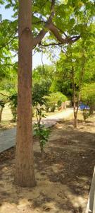 Block H Plot View 2