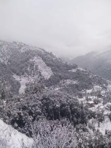 Image of 7560 Sq.ft 4.5 BHK Villa for sale in Mukteshwar, Nainital for Rs. 39000000