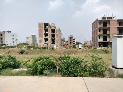 Amolik Aster Woods Plot View 1