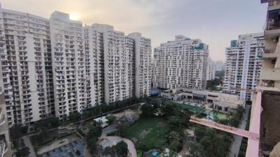 Image of 1250 Sq.ft 2 BHK Apartment / Flat for rent in Mahagun Moderne, Sector 78, Noida for Rs. 36000