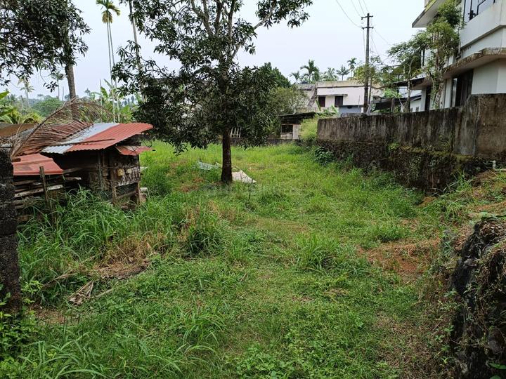 Keralarealty Main Image 1