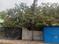 Sector 2 Plot View 2