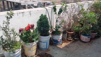 Balcony Image of 500 Sq.ft 1 BHK Independent House for rent in Khandve Nagar Pune for Rs. 12000