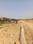 Rohania Plot View 2