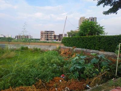 Image of 171 Sq.ft Residential Plot / Land for sale in Skywhales Vienna Greens II, Sector 99A, Gurgaon for Rs. 31515000