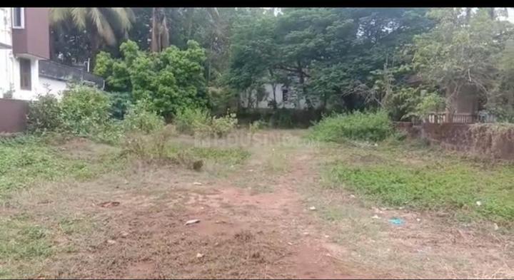 Jeppinamogaru Main Image 1