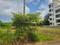 Chicolna Plot View 2