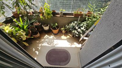 Balcony Image of 1184 Sq.ft 2 BHK Apartment / Flat for sale in Kothrud Pune for Rs. 16300000