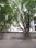 7th Phase Plot View 2