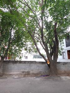 7th Phase Plot View 2