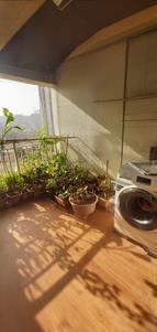 Balcony Image of 650 Sq.ft 2 BHK Apartment / Flat for sale in Nimhan Grace Residency B, Sus Pune for Rs. 7000000