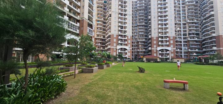 Ambika Florence Park Main Image 1