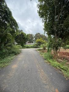 Residential Plot