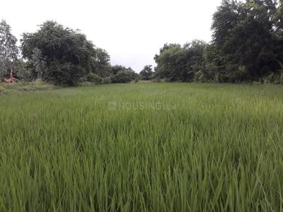 vyom farmlands More Images 2