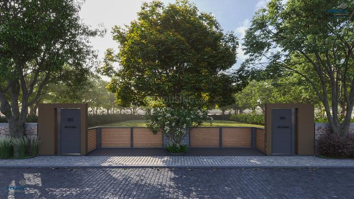 kings ebony Main Image 1