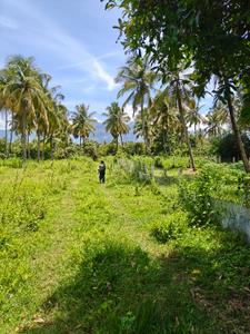 Image of 4028 Sq.ft Residential Plot / Land for sale in Vandithavalam, Palakkad for Rs. 2035000