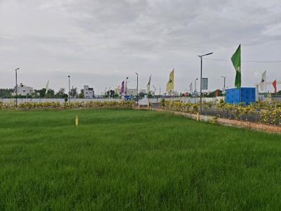 Residential Plot