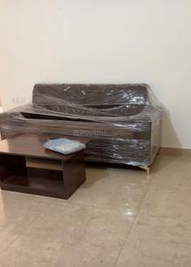 Bedroom Image of 600 Sq.ft 1 BHK Apartment / Flat for rent in Sankalp Alexa Homes, Jagatpura Jaipur for Rs. 20000