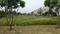 Amrawati IT City Main Image 1