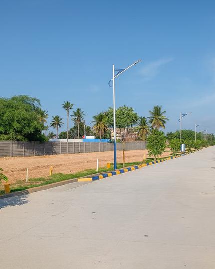 Nandi Gardenia Main Image 1