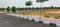 LAXMI BALAJI TOWNSHIP Plot View 2