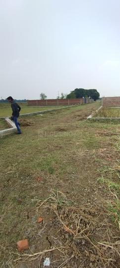 Naubatpur Main Image 1