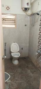 Bathroom Image of 1415 Sq.ft 3 BHK Apartment / Flat for rent in Peony United Daffodils, Mahadevapura Bengaluru for Rs. 50000