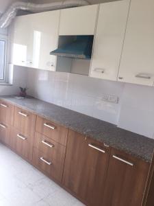 Kitchen Image of 1100 Sq.ft 3 BHK Apartment / Flat for rent in DLF New Town Heights, Sector 91 Gurgaon for Rs. 38000