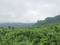Shirgaon Main Image 1