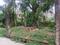 Rajarhat Chowmatha Main Image 1
