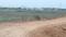 Aiims city project Main Image 1